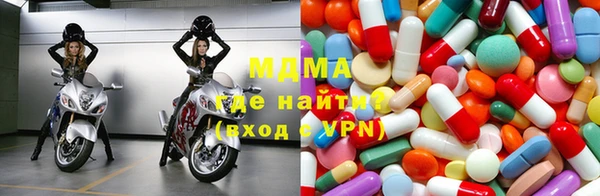 прущие грибы Вязники