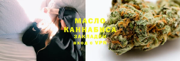 прущие грибы Вязники