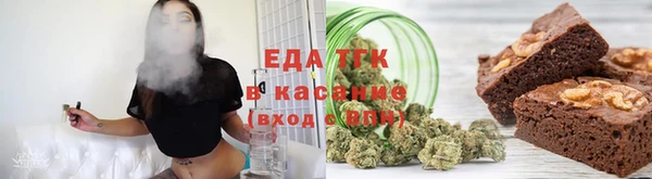 прущие грибы Вязники