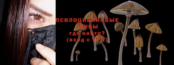 не бодяженный Горняк