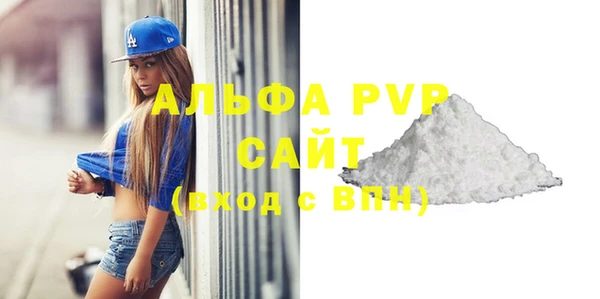 эйфоретик Тайга