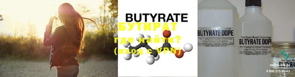 прущие грибы Вязники