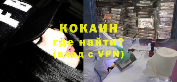 прущие грибы Вязники