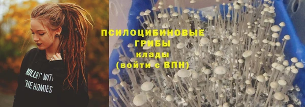 прущие грибы Вязники