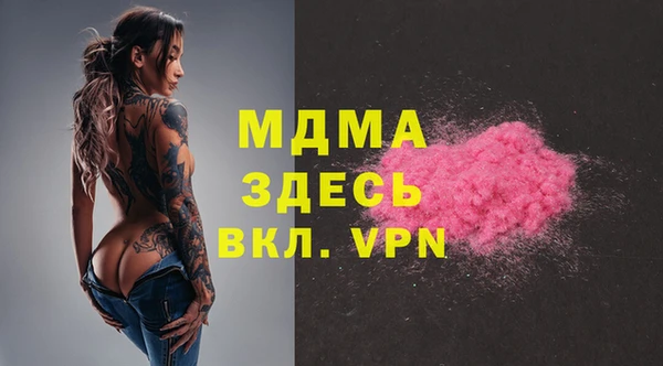 прущие грибы Вязники