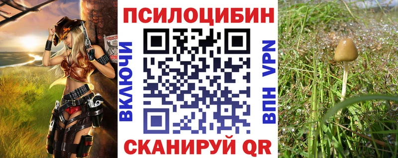 Псилоцибиновые грибы ЛСД  купить наркотики сайты  Камбарка 