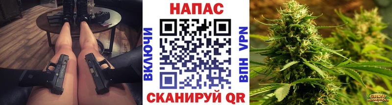 Каннабис OG Kush  Камбарка 